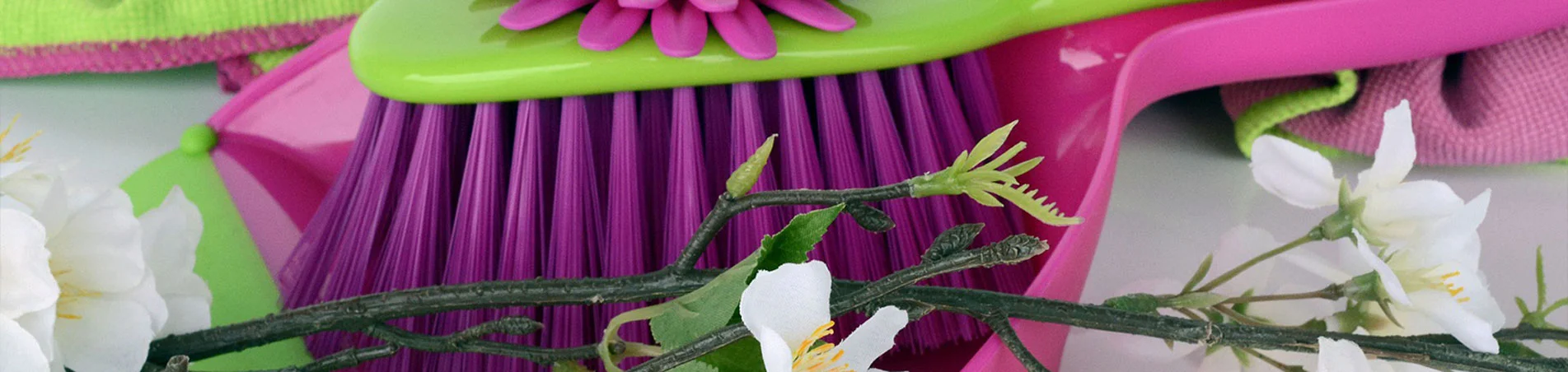 spring cleaning tips and tricks